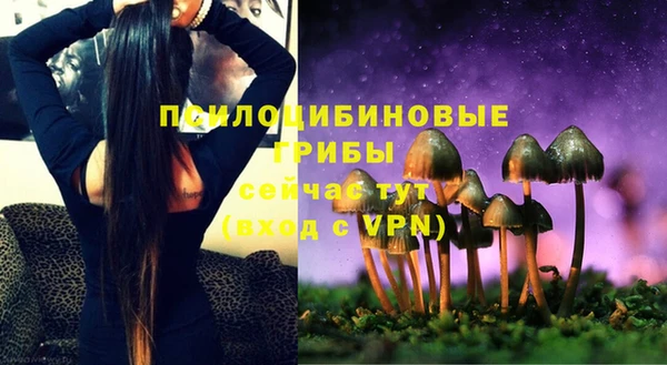 ALPHA PVP Нягань