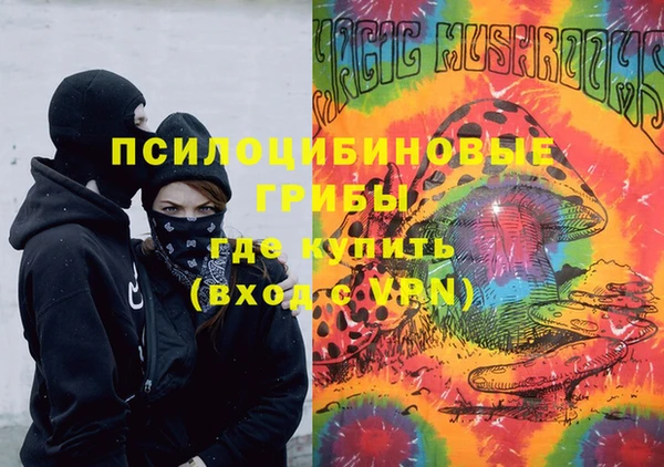 ALPHA-PVP Няндома
