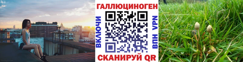 Галлюциногенные грибы Psilocybine cubensis  Красновишерск 